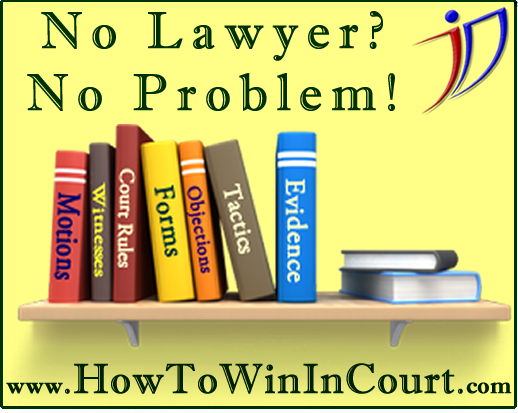 Win in Court Without a Lawyer
